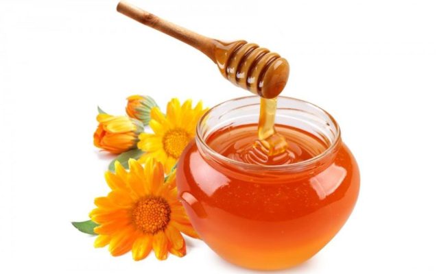 Honeypot for Spammers