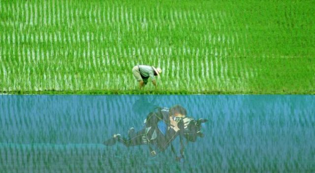 Rice Farmer or Photographer?