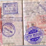 Immigration hits harder – I warned you