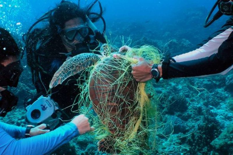 Ghost nets in the Philippines